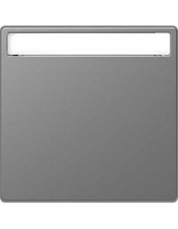 D-Life КЛАВИША 1-ная с полем д/надписи, НЕРЖ. СТАЛЬ , SD