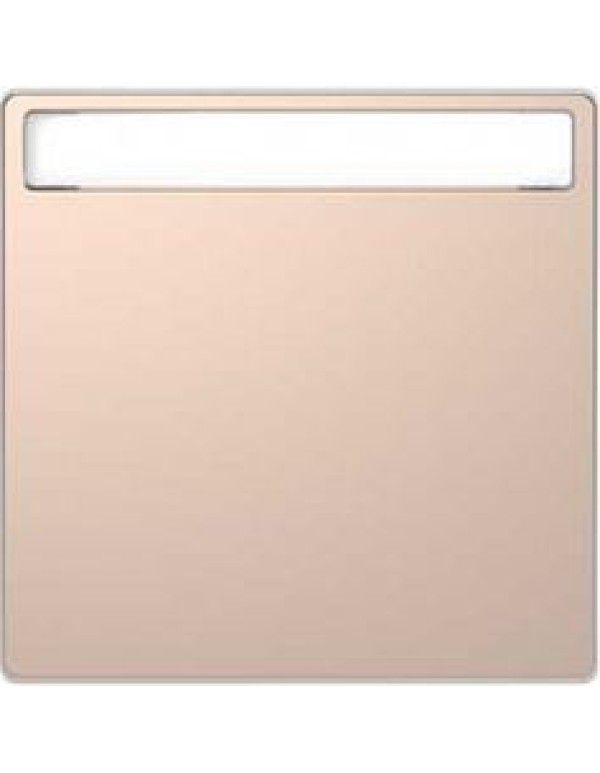 D-Life КЛАВИША 1-ная с полем д/надписи, ШАМПАНЬ , SD