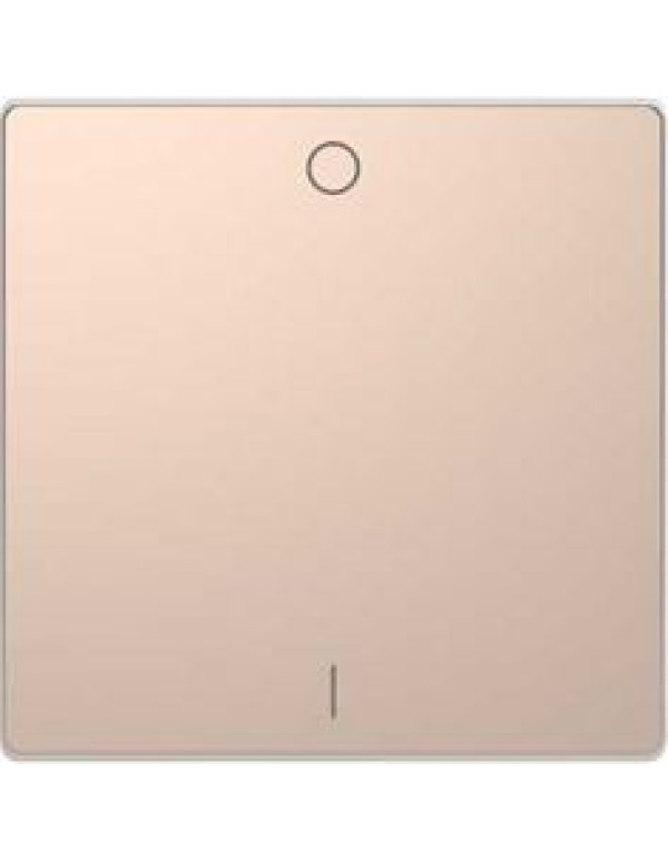 D-Life КЛАВИША 1-ная с символом O/I, или вкл/выкл., ШАМПАНЬ , SD