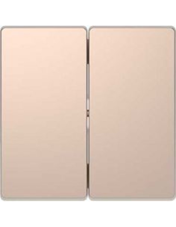 D-Life КЛАВИША 2-ная, ШАМПАНЬ , SD