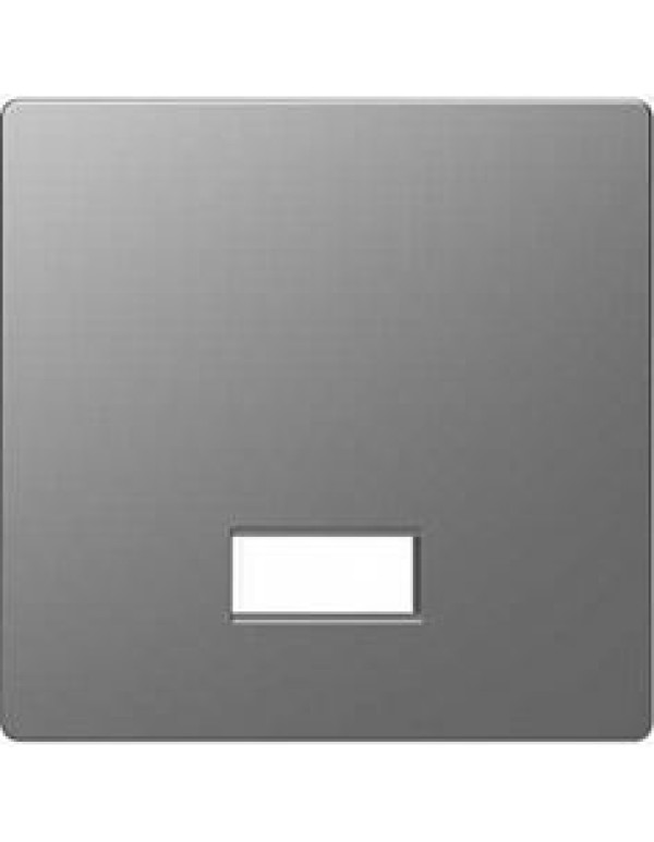 D-Life КЛАВИША с полем д/символа, НЕРЖ. СТАЛЬ , SD