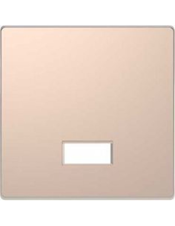 D-Life КЛАВИША с полем д/символа, ШАМПАНЬ , SD