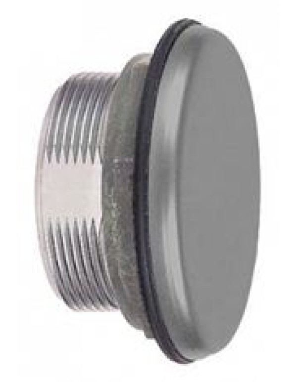 ЗАГЛУШКА 30ММ