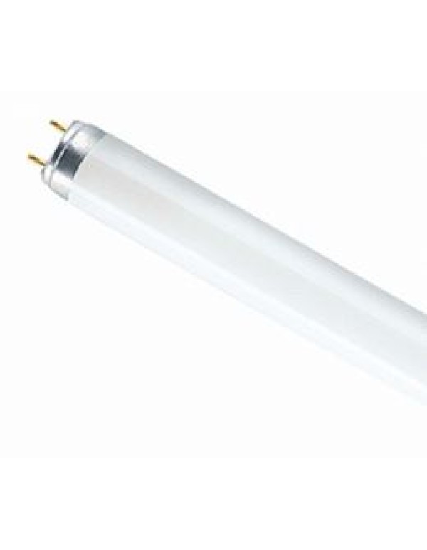 Лампа ЛЮМИН. 1500мм 58Вт d26 G13 днев. св. LEDVANCE OSRAM (г. Смоленск)