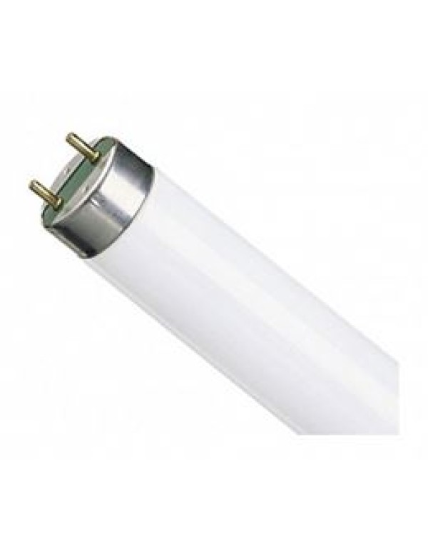 Лампа ЛЮМИН. 600мм 18Вт d26 G13 нейтрально-бел (цветоперед. >=80%) LEDVANCE OSRAM (г. Смоленск)