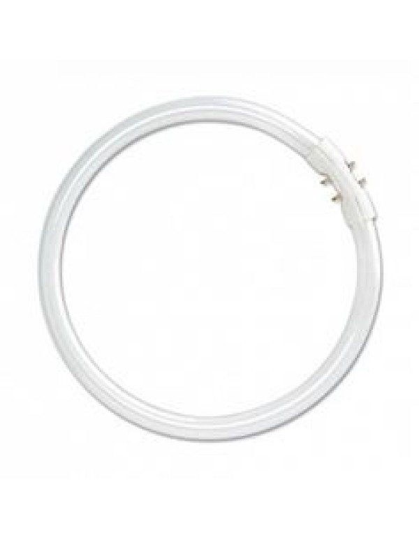 Лампа люминесцентная Osram кольцевая 22Вт 2Gх13 (4050300528465)