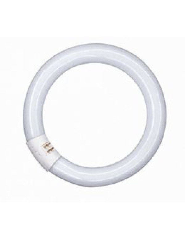 Лампа люминесцентная Osram кольцевая 22Вт G10q (4008321581082)