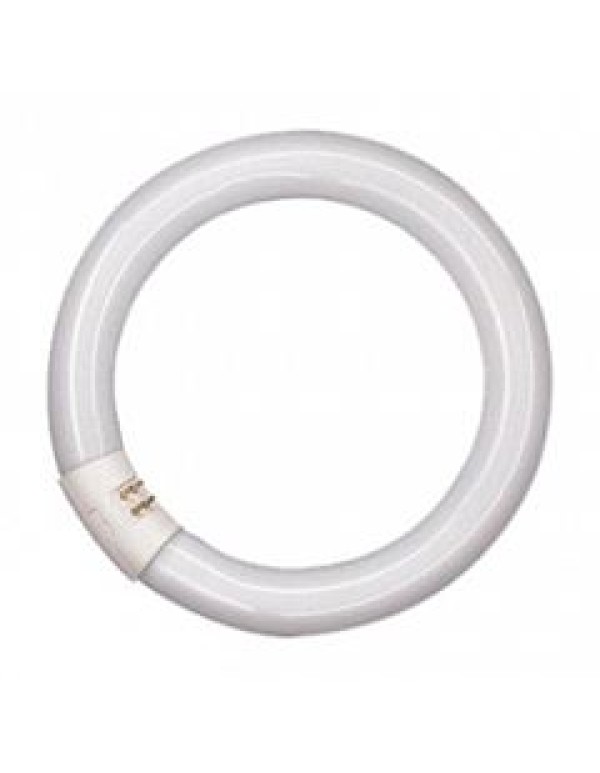 Лампа люминесцентная Osram кольцевая 32Вт G10q (4008321581143)