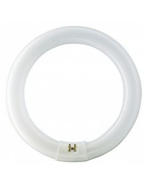 Лампа люминесцентная Philips кольцевая 22Вт G10q (928026205460)