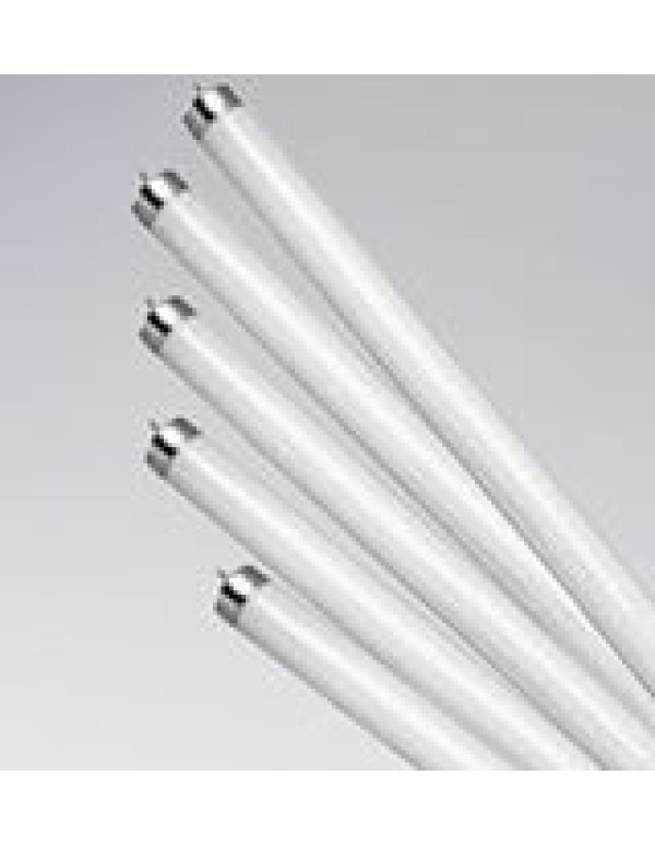 Лампа ЛЛ 58Вт OSRAM  Теплый белый 