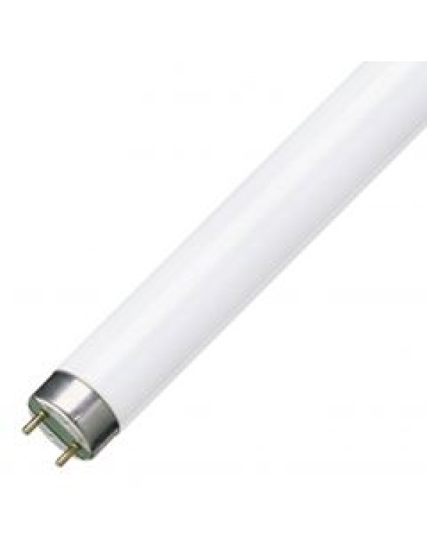 Люминесцентные лампы T8 Osram PLUS ECO d26mm с цоколем G13