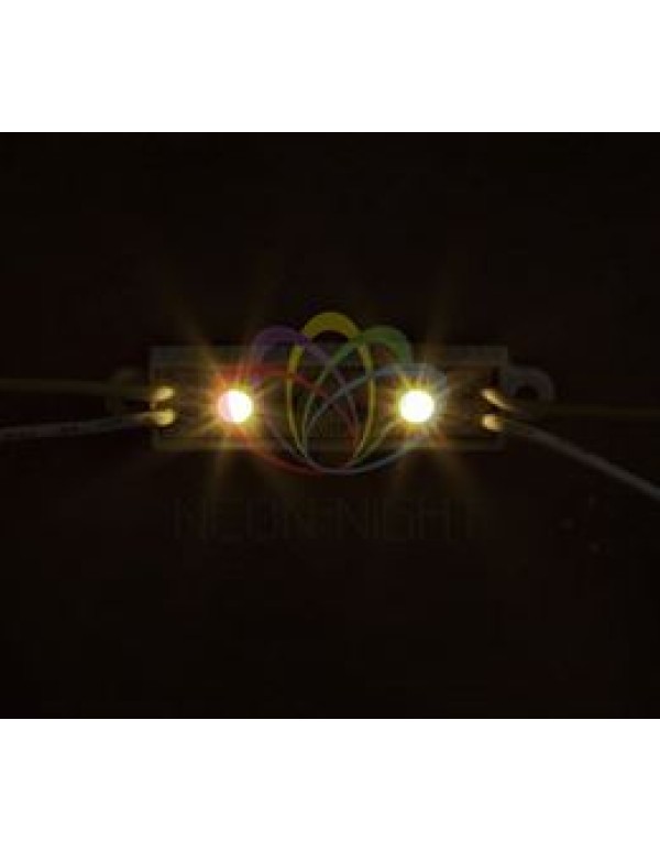 Модуль светодиодный, IP67 влагозащищенный, 2 SMD 5050 диода, ТЕПЛЫЙ БЕЛЫЙ  NEON-NIGHT