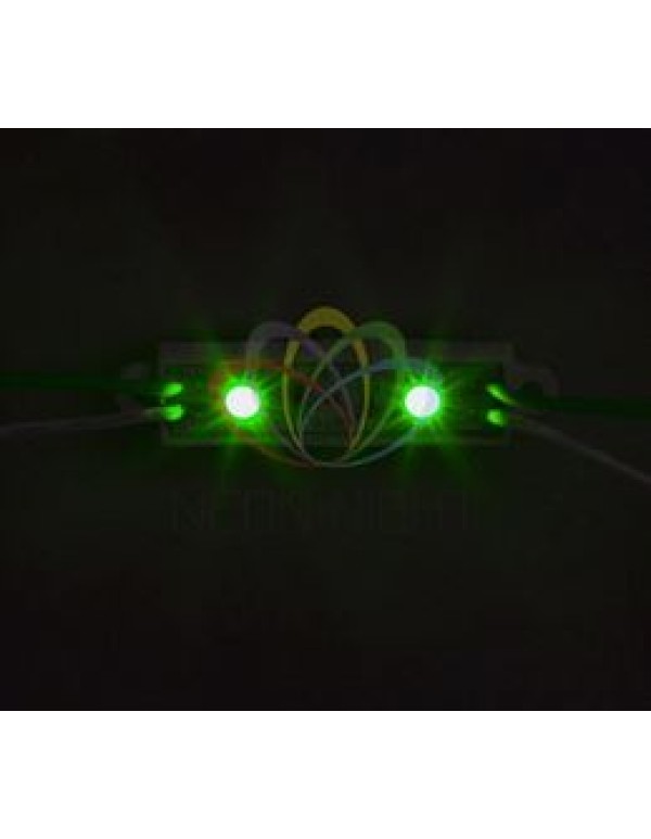 Модуль светодиодный, IP67 влагозащищенный, 2 SMD 5050 диода, ЗЕЛЕНЫЙ  NEON-NIGHT