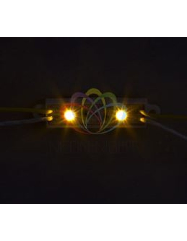 Модуль светодиодный, IP67 влагозащищенный, 2 SMD 5050 диода, ЖЕЛТЫЙ  NEON-NIGHT