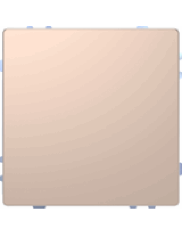 D-Life KNX кнопочный выключатель 2/3/4 кнопки Pushbutton Pro, ШАМПАНЬ