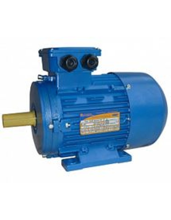 Электродвигатель АИР 100 L8 1,5/750 исп.1081 (5 АИ)