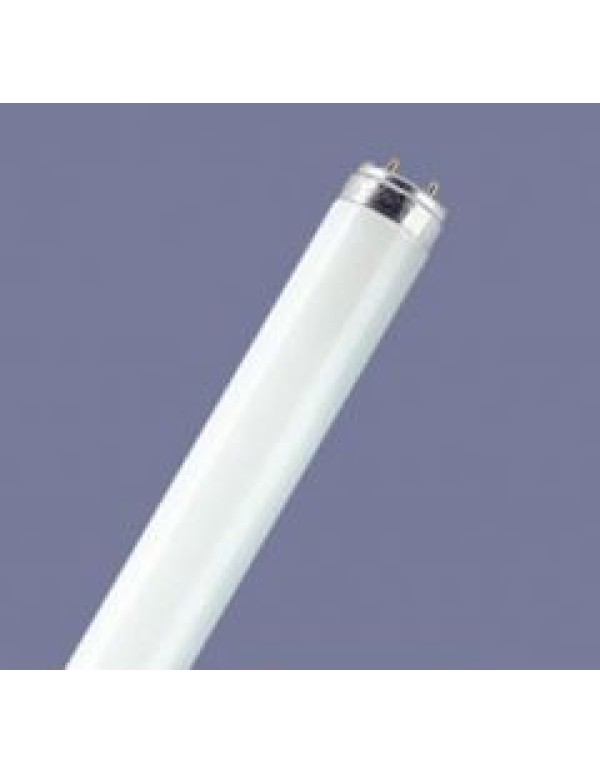 зуммер 2 мод. белый