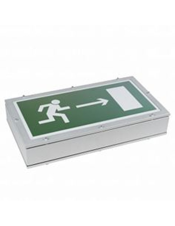 Автономный световой указатель FLAGMAN Белый Свет