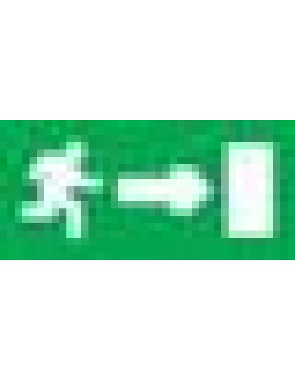 Пиктограмма для аварийного светильника SE наклейка Путь эвакуации (OVA50240E)