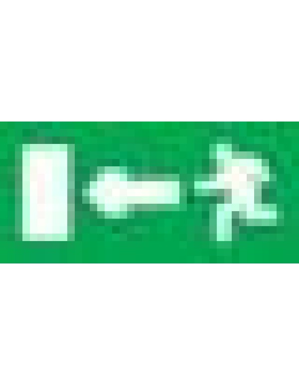 Пиктограмма для аварийного светильника SE наклейка Путь эвакуации (OVA50253E)