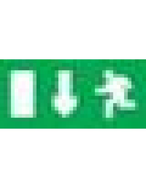 Пиктограмма для аварийного светильника SE наклейка Путь эвакуации (OVA50256E)