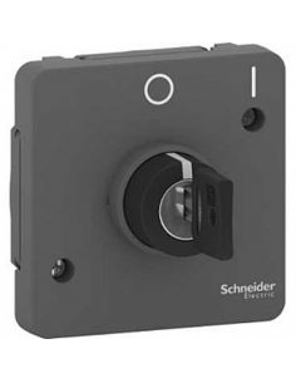 Механизм переключателя с ключом на 2 положения, 3А, антрацит, IP55