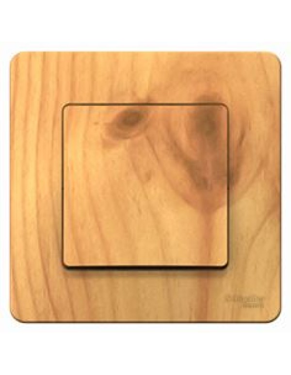 Переключатель 1-кл. 10А,Ясень BLANCA