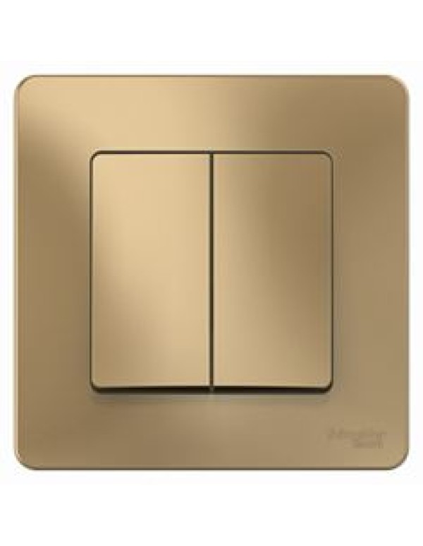 Переключатель 2-кл. 10А,Титан BLANCA