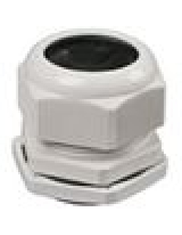 PG 48 сальник