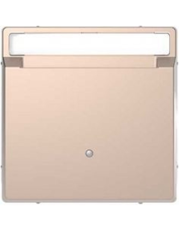 D-Life ВЫКЛЮЧАТЕЛЬ с ключюм-картой д/гостиниц, ШАМПАНЬ , SD